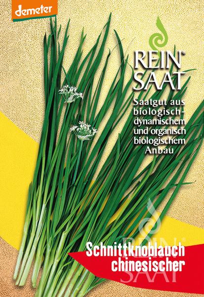Schnittknoblauch, chinesischer